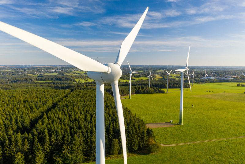 wind turbines in a field wind turbines in a field