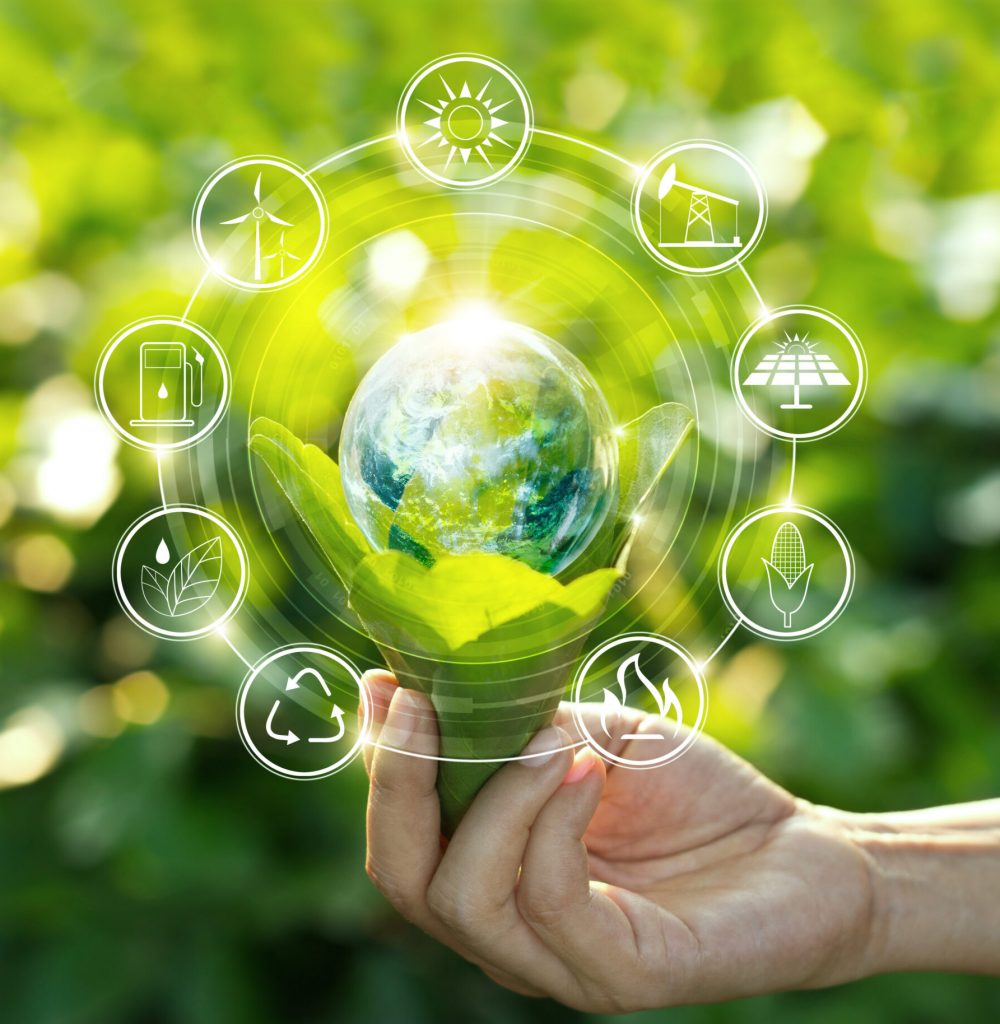 Hand holding light bulb against nature on green leaf with icons Hand holding light bulb against nature on green leaf with icons energy sources for renewable, sustainable development. Ecology concept. Elements of this image furnished by NASA.